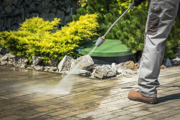 Best Winterizing Services  in Mattawan, MI