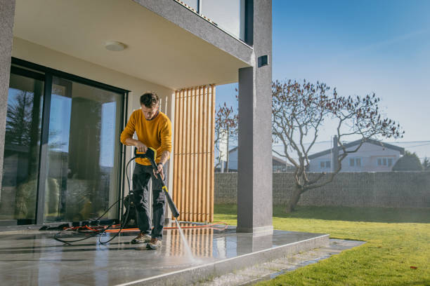 Best Roof Washing  in Mattawan, MI