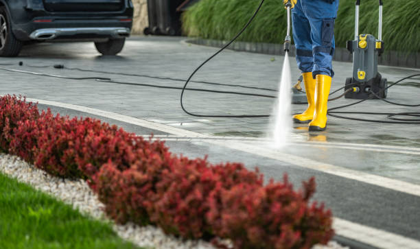 Best Driveway Pressure Washing  in Mattawan, MI